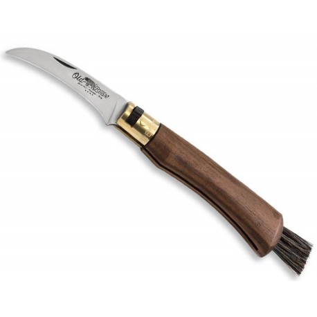 Couteau à champignon Setera lame 7 cm Albainox - Achat vente pas