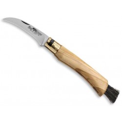 Couteau à champignons Old Bear olivier 308.C