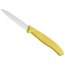 Couteau d'office Swiss Classic Victorinox 8cm denté pointe milieu jaune