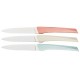 Coffret 6 couteaux de table Florinox Kiana couleurs panachées