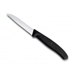 Couteau office Victorinox 8 cm à dents