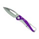 Couteau Buck Apex Violet - 0818PPS
